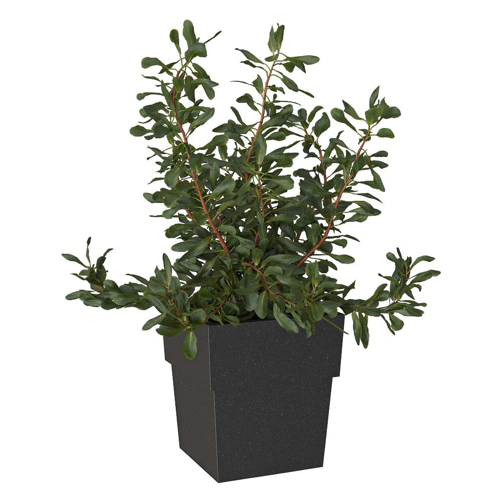 Serralunga – Planter Torre 3ds Max
