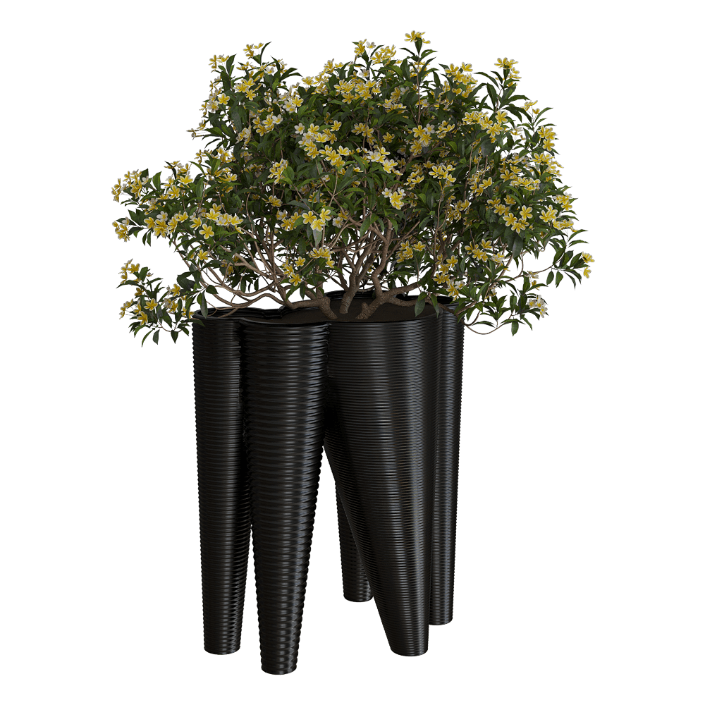 Serralunga – Planter The Vases 3ds Max