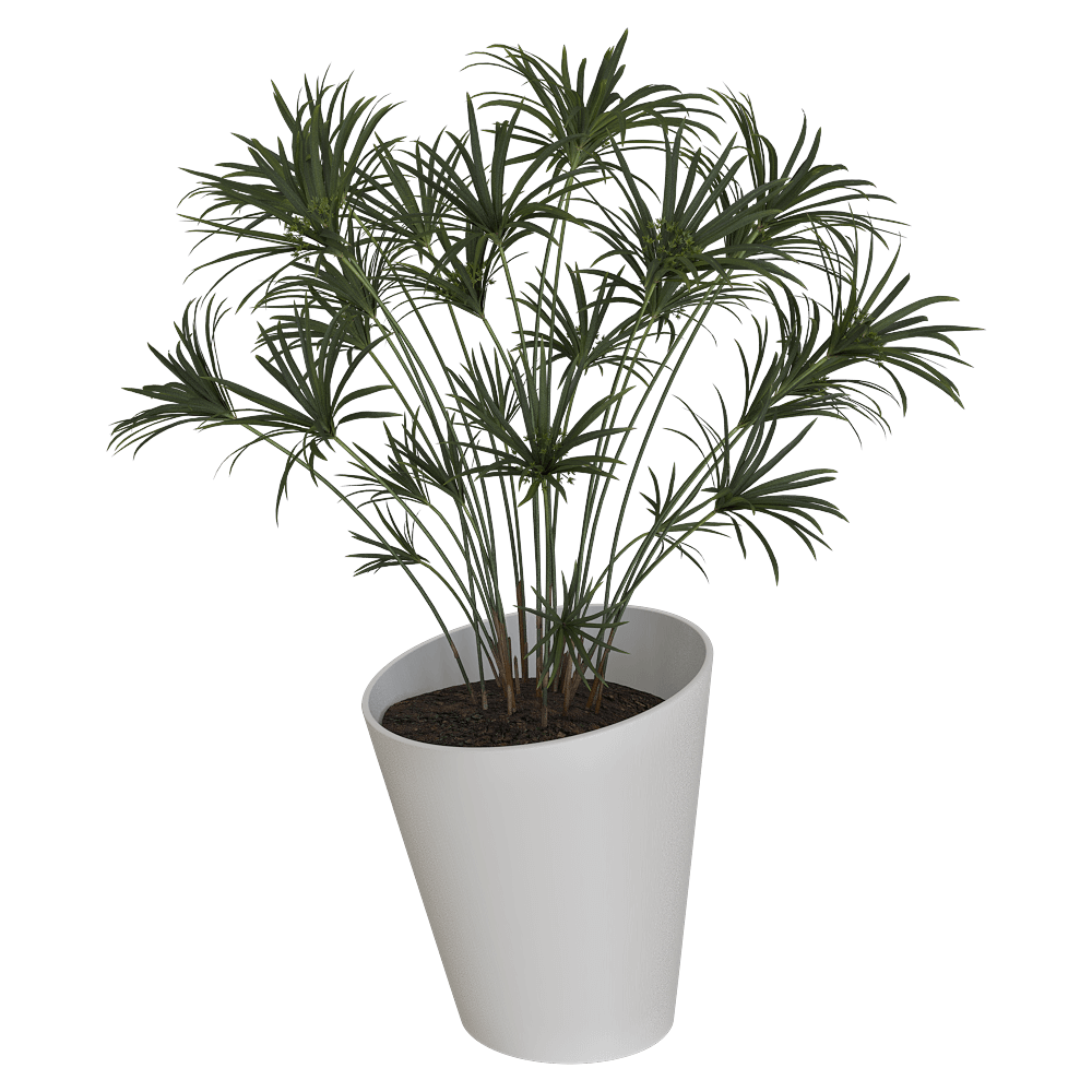 Serralunga – Planter Pisa 3ds Max