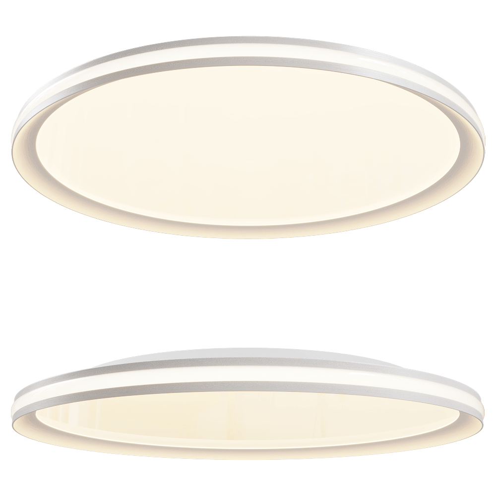 Stilfort – Ceiling lamp Alumin 4016-01-05C 3ds Max