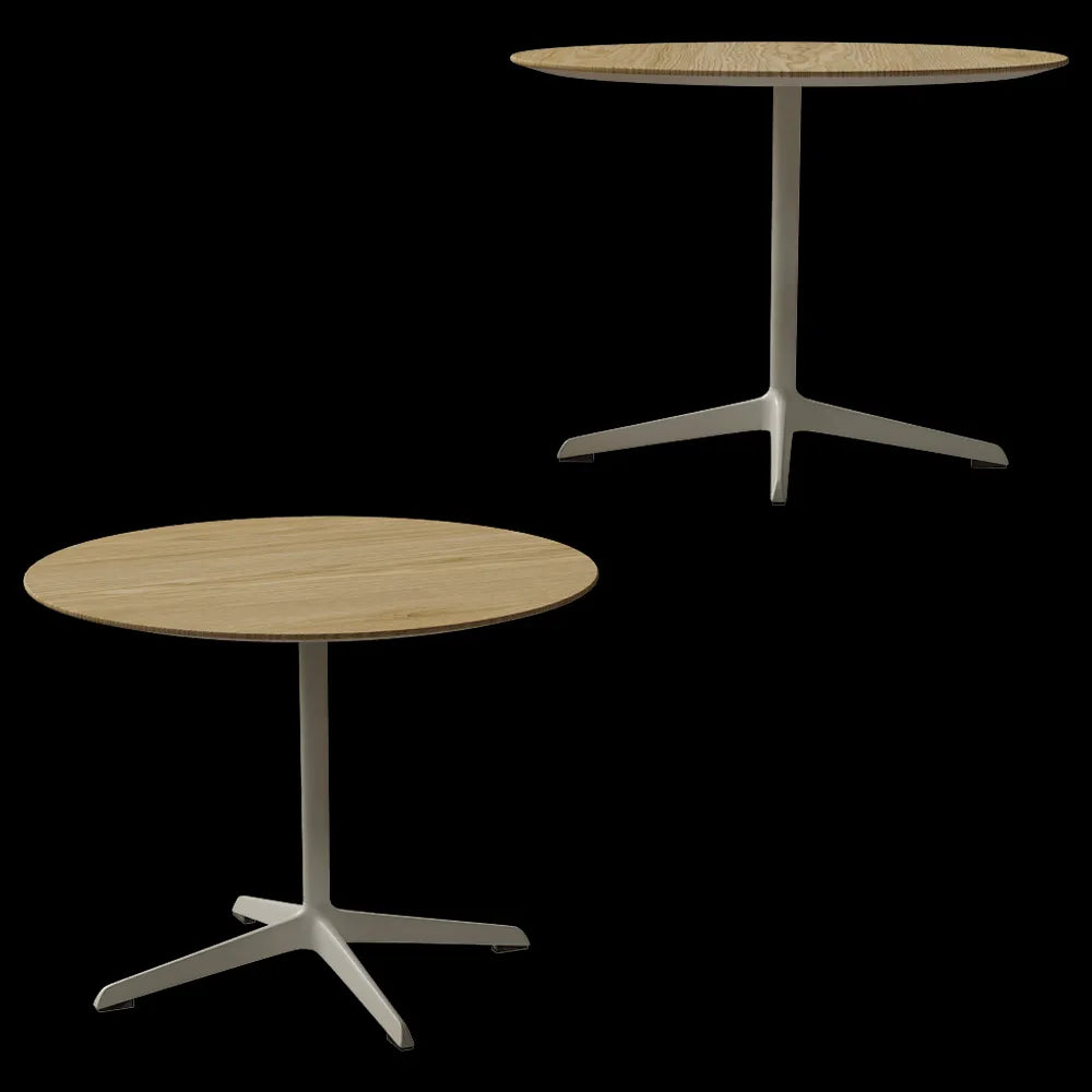 Brunner - Table Break 3ds Max