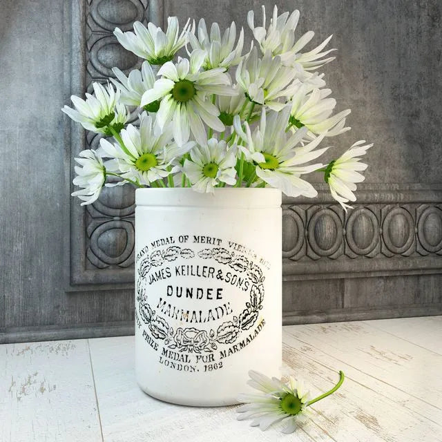 Daisies 3dsMax Model