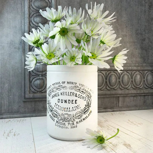 Daisies 3dsMax Model