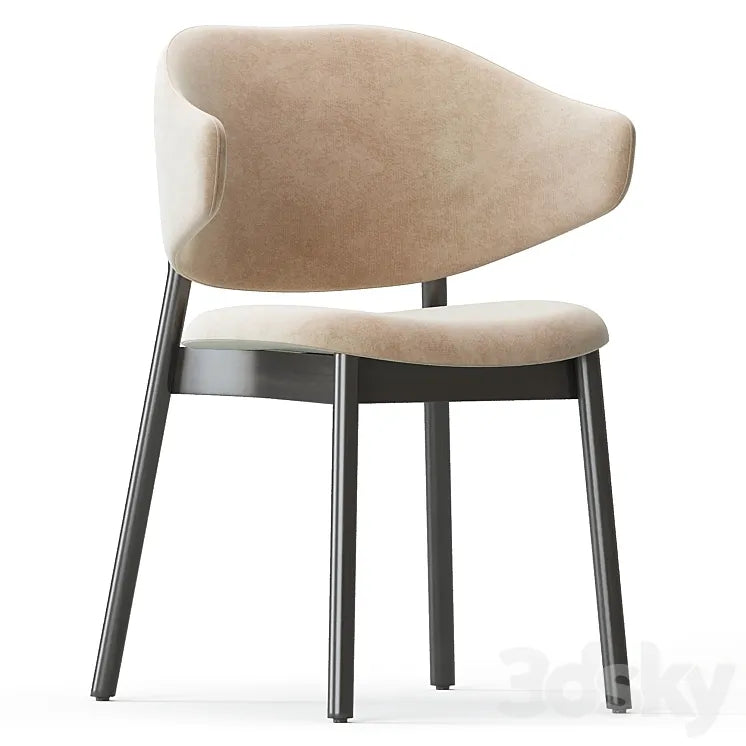 Holly Home Chair Calligaris 3DSMAX Model