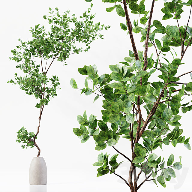 Indoor Plant 019 3ds Max