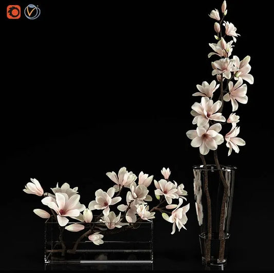 Magnolia 2 3dsMax Model