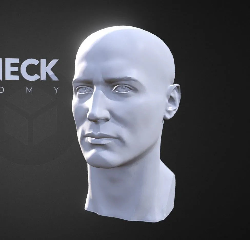 PBR Game 3D Models - A4s Head Neck Anatomy