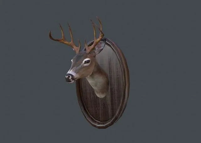 PBR Game 3D Models - Deer Head Taxidermy