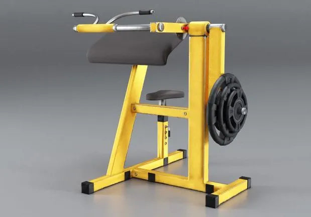 PBR Game 3D Models - Simulator trainer for Biceps