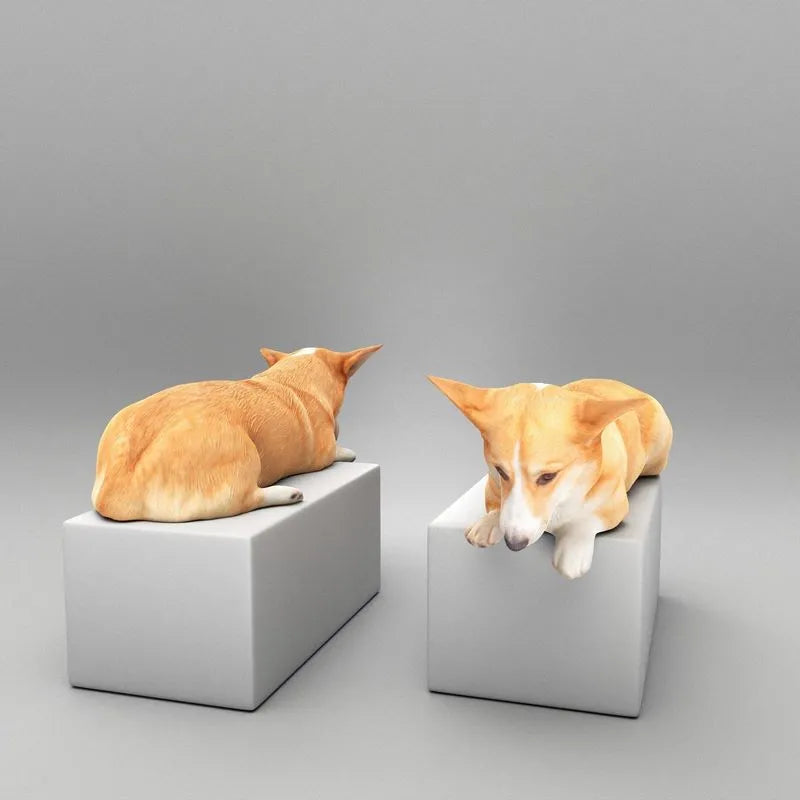 PBR Game 3D Models - Welsh corgi 44