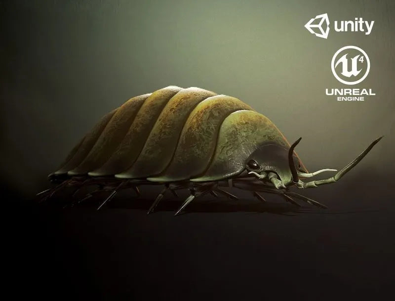 PBR Game 3D Models - Woodlouse insect1