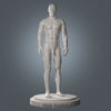 Human Body Anatomy Base Mesh Low-poly 3D model