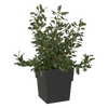 Serralunga – Planter Torre 3ds Max
