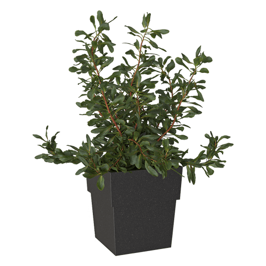 Serralunga – Planter Torre 3ds Max