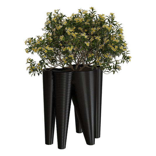 Serralunga – Planter The Vases 3ds Max