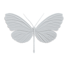 Wall deco – BUTTERFLY B-13 3ds Max