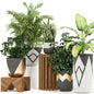 Plants collection 109