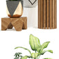 Plants collection 109