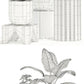 Plants collection 109