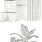 Plants collection 109