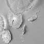 Wall decor - Water Lily