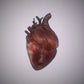 heart 3d model - Free Download