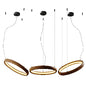 Ozzio Italia Ring Pendant Lamp