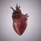 heart 3d model - Free Download