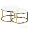 Coffee table CT8026 coffee table 3DSMAX Model