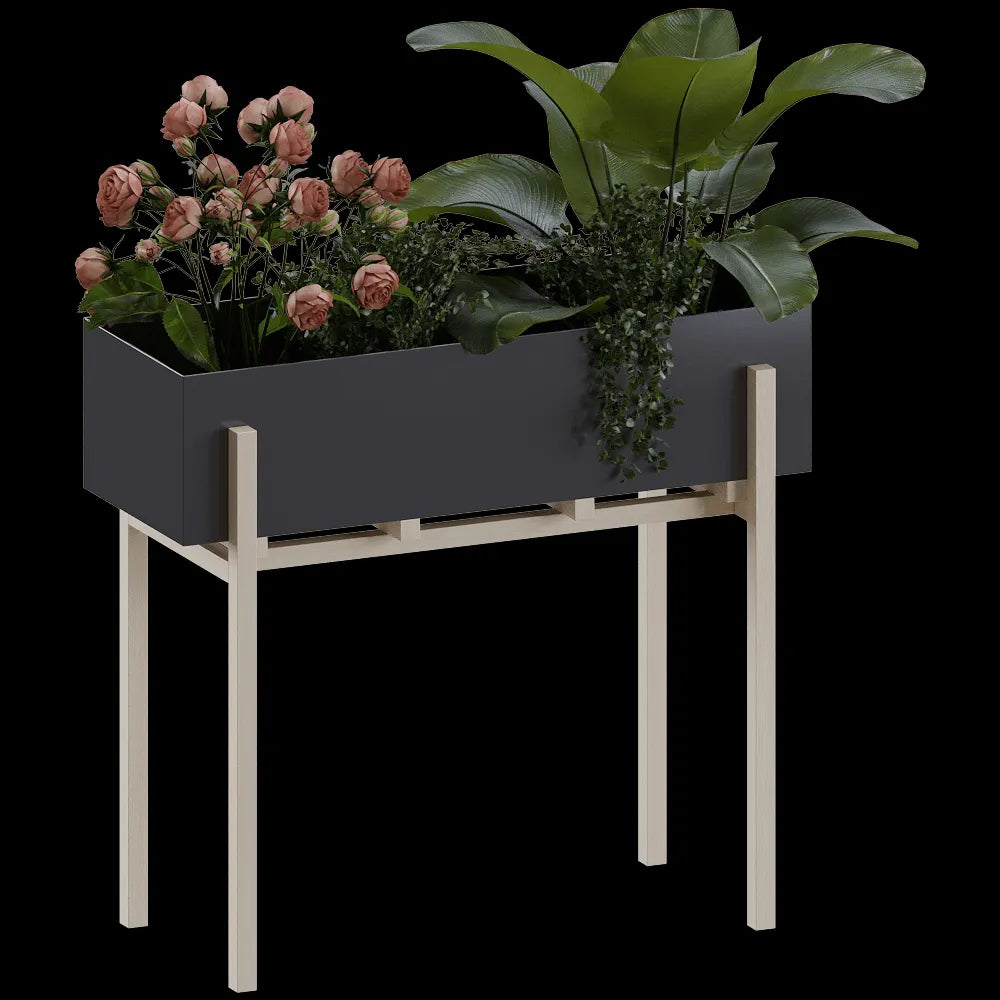 Design House Stockholm - Botanic Stand & Pedestal 3ds Max