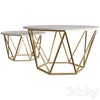 Diemer coffee table Coffee table 3DSMAX Model