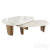 Duo Multilaque Coffee Table 3DSMAX Model