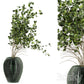 Indoor Plants In Handmade Glass Pot – Set 94 3DS Max Model