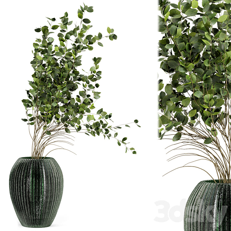 Indoor Plants In Handmade Glass Pot – Set 94 3DS Max Model