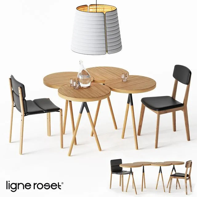 Ligne Roset Set 3dsMax Model