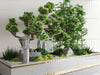 Miniature Garden 3D Scenes – Interior Plants – 016 – CORONA Render
