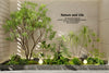 Miniature Garden 3D Scenes – Interior Plants – 040 – CORONA Render