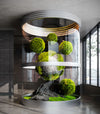 Miniature Garden 3D Scenes – Interior Plants – 043 – CORONA Render