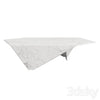 Minotti Carrara Coffee Table 3DSMAX Model