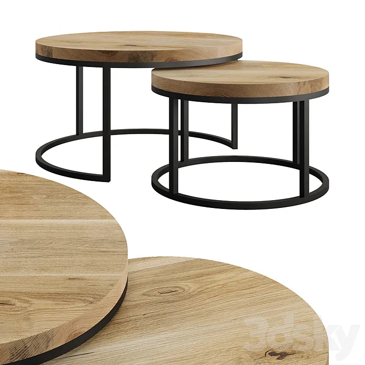 Oval Coffee Table by mLOFT 3DSMAX Model