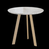 Paolo Castelli - Coffee table For Hall 3ds Max