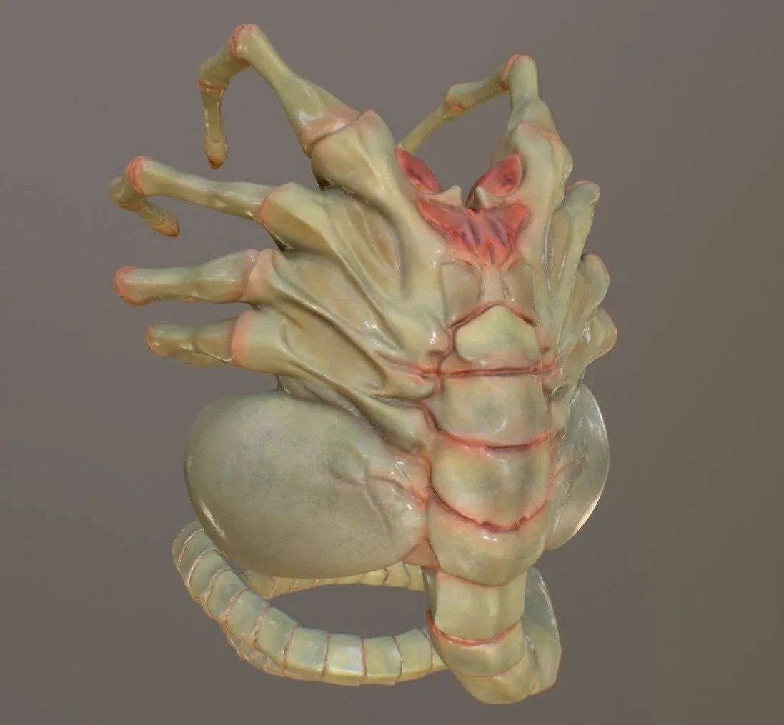 PBR Game 3D Models - Alien Facehugger Fanart Wip