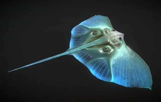 PBR Game 3D Models - Alien Fantasy Fish   Jelly Ray   Stingray