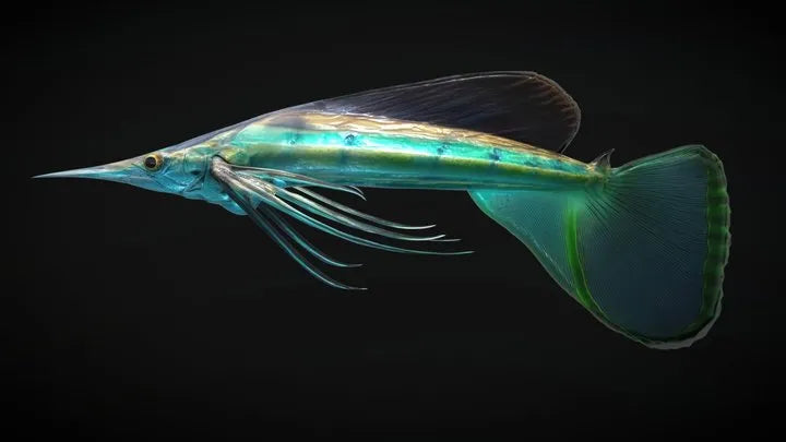 PBR Game 3D Models - Alien Fantasy Fish   Star Darter