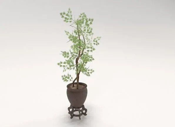 PBR Game 3D Models - Decorative tree in a Pot