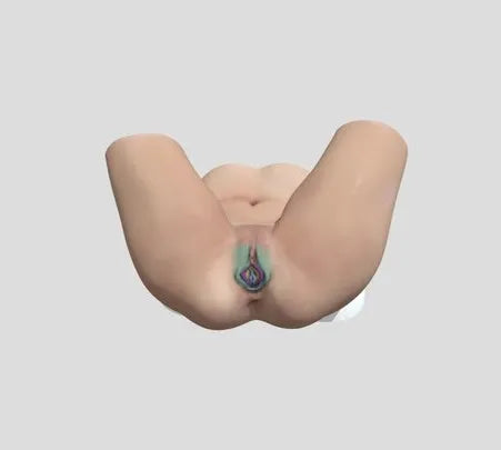 PBR Game 3D Models - Female External Genitalia