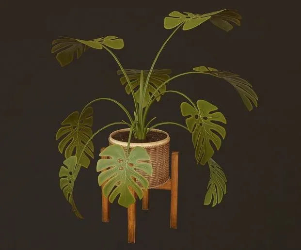 PBR Game 3D Models - Monstera Plant