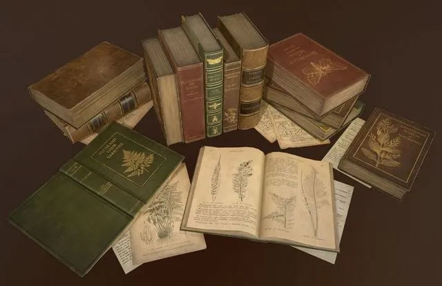 PBR Game 3D Models - Old Books set
