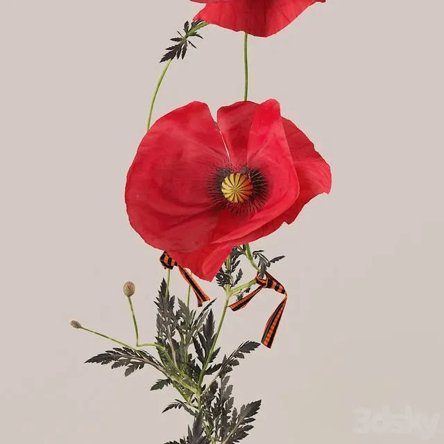 Poppies (Poppies) 3dsMax Model