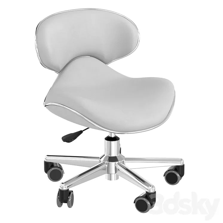 Salon Smart Ergonomic Pedicure Stool Gray 3DSMAX Model